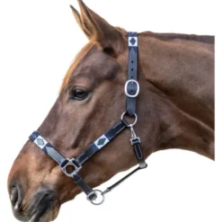 Halfter Polo, Lederhalfter