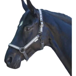 Halfter Reflex Stripe, Nylonhalfter