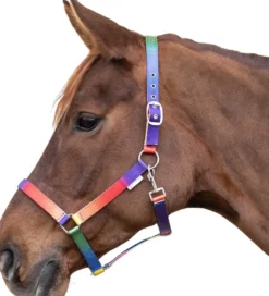 Halfter Regenbogen, Nylonhalfter