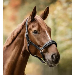 Halfter S-Line Glamour, Lederhalfter
