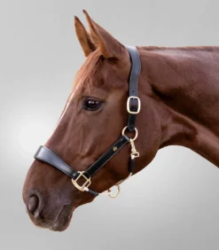 Halfter S-Line Royal, Lederhalfter
