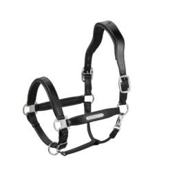 Halfter Stallion, Lederhalfter, anatomisch