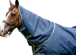 Halsteil Amigo Bravo 12 XL Hood, 0 g
