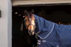 Halsteil Rhino Stable Hood, 200 g