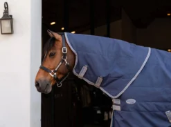 Halsteil Rhino Stable Hood, 100 g