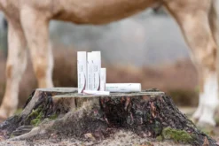 Hautpflege Hydro RepairGel Horse, Hydrogel