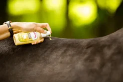 Hautpflege natürliche Hautlotion, Intensivpflege