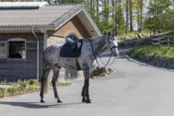 Hufglocken KLLexie FS26, Springglocken, Kunstleder