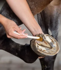 Hufpflege Undercover, Pflegepaste