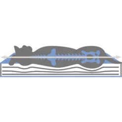 Hundekissen Memory-Foam Matratze
