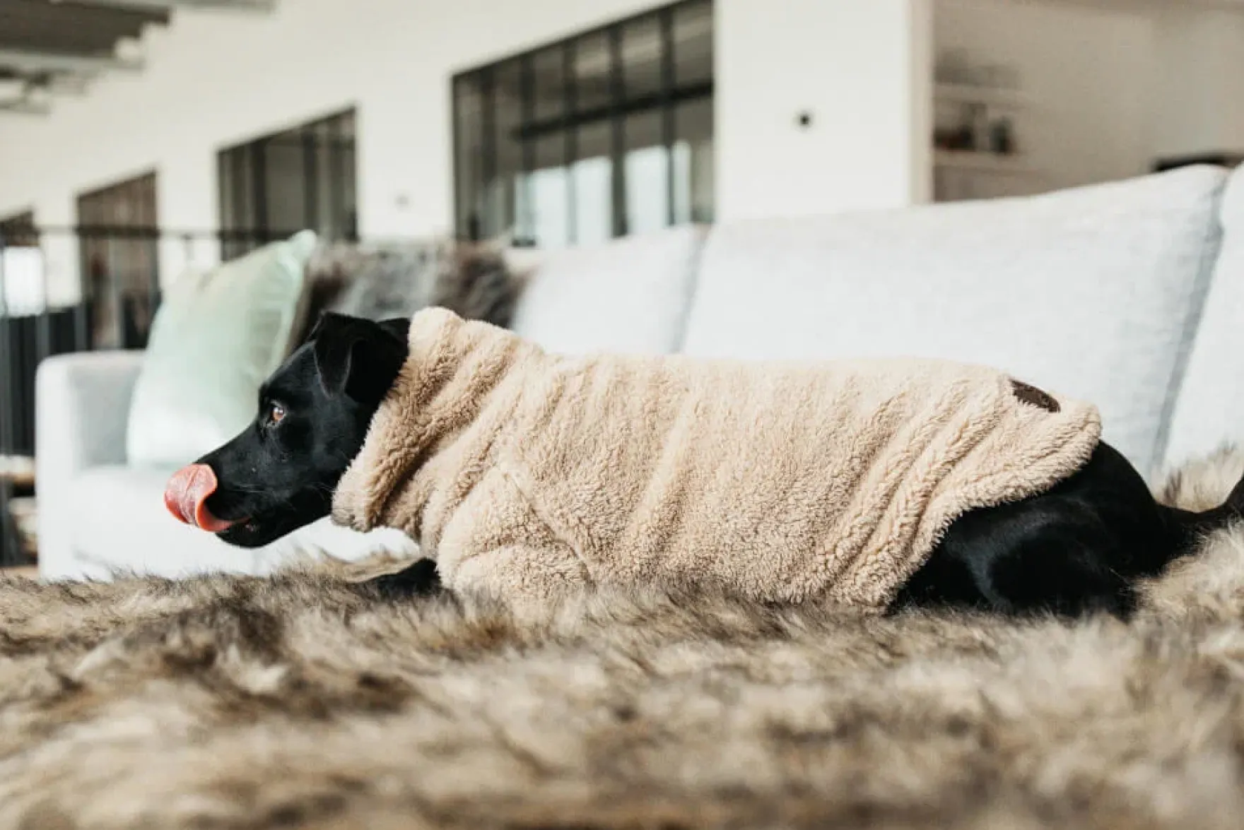 Hundemantel Sweater Teddy Fleece, Hundejacke