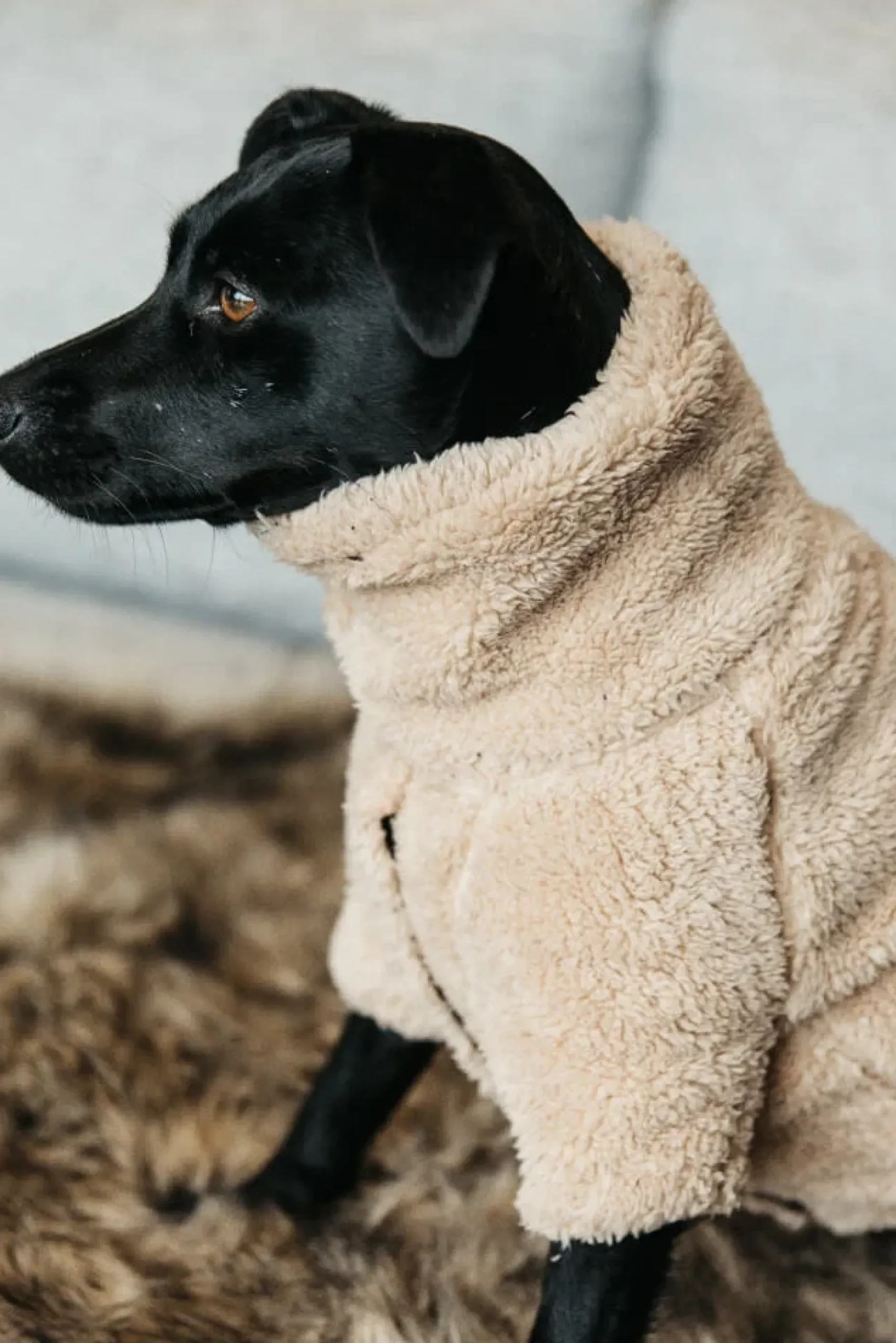 Hundemantel Sweater Teddy Fleece, Hundejacke