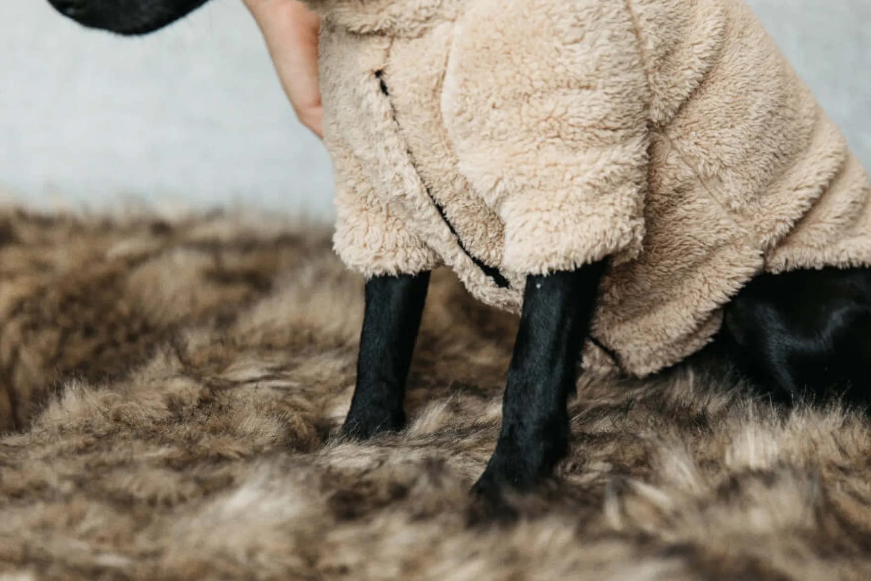 Hundemantel Sweater Teddy Fleece, Hundejacke