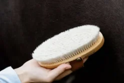 Kardätsche Overall Brush Soft, Pferdebürste