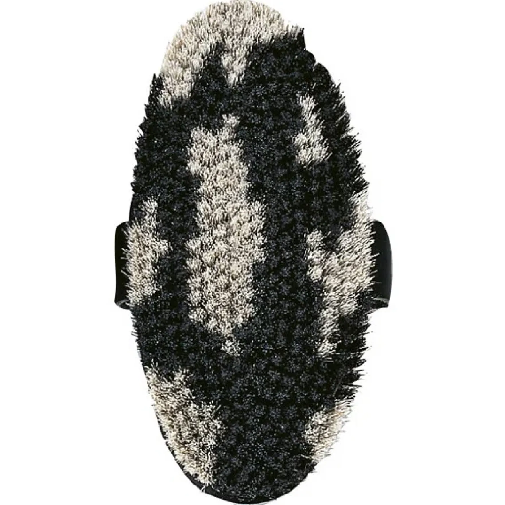 Kardätsche Pinto, Pferdebürste