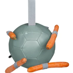 Karottenball