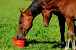 Kevin Bacon's Hoof Formula, Ergänzungsfuttermittel