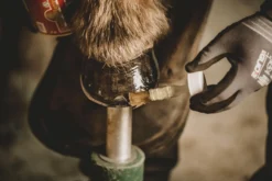 Kevin Bacon's Huföl Liquid Hoof Dressing