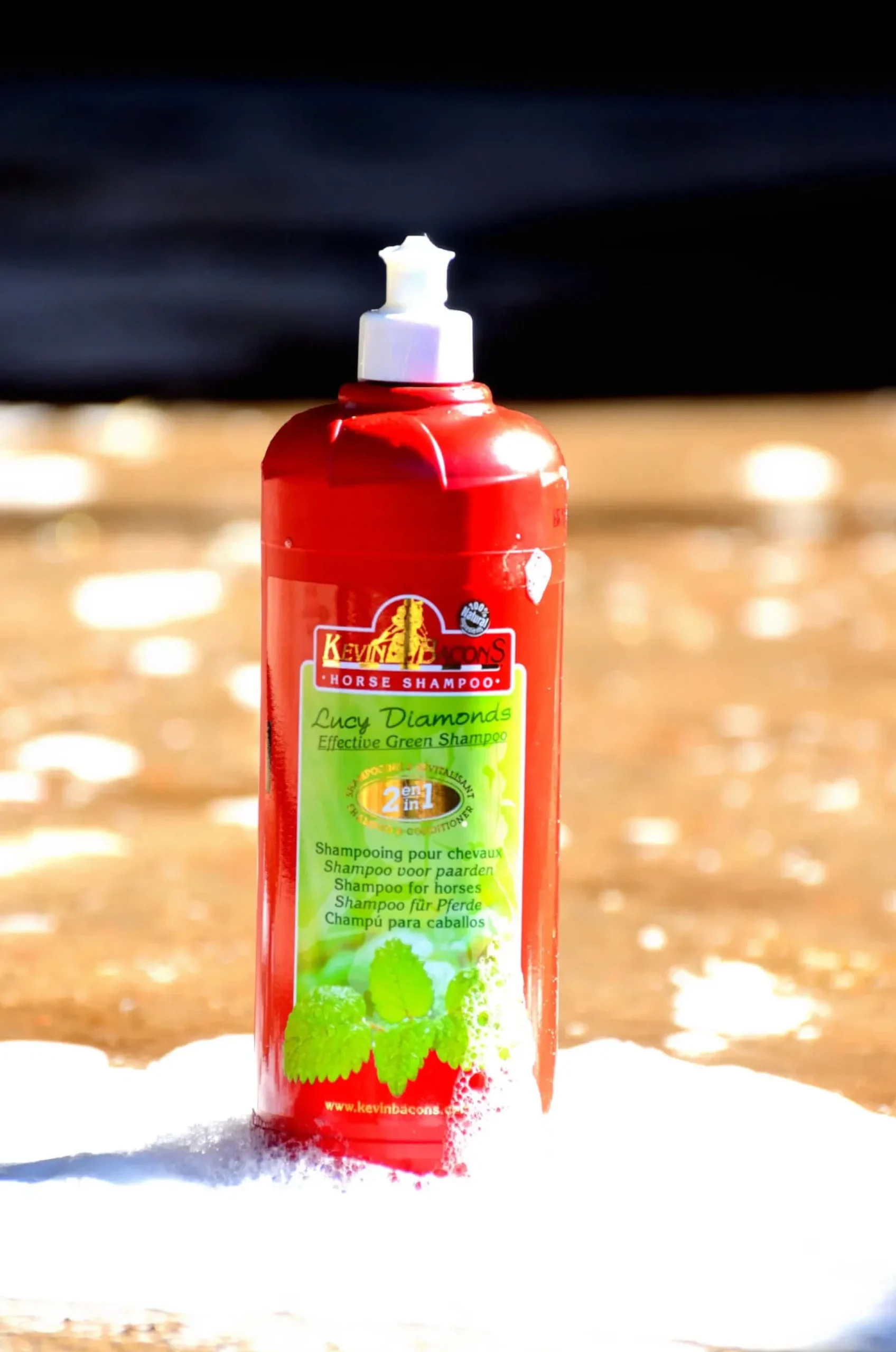 Kevin Bacons Pferdeshampoo Lucy Diamonds