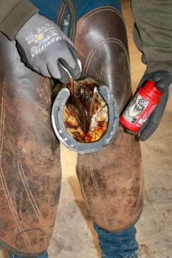 Kevin Bacon's Strahlfäule Mittel Hoof Solution