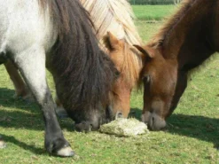Knabberblock Vitamunch Marvellous Meadow