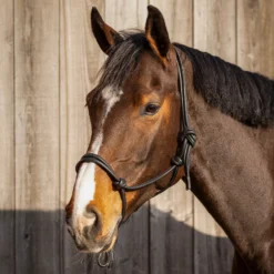 Knotenhalfter Liberta, Leder