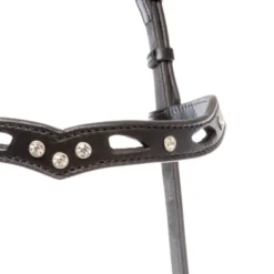 Kopfstück Islandtrense Ragnar Celtic