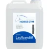 Laufbandöl, Schmieröl