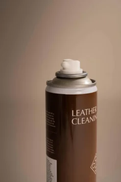 Lederreinigungschaum, Spray