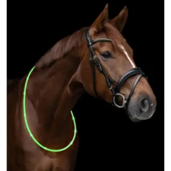 LED-Halsriemen für Pferde