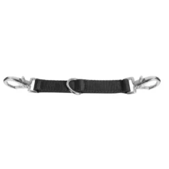 Longierbrille