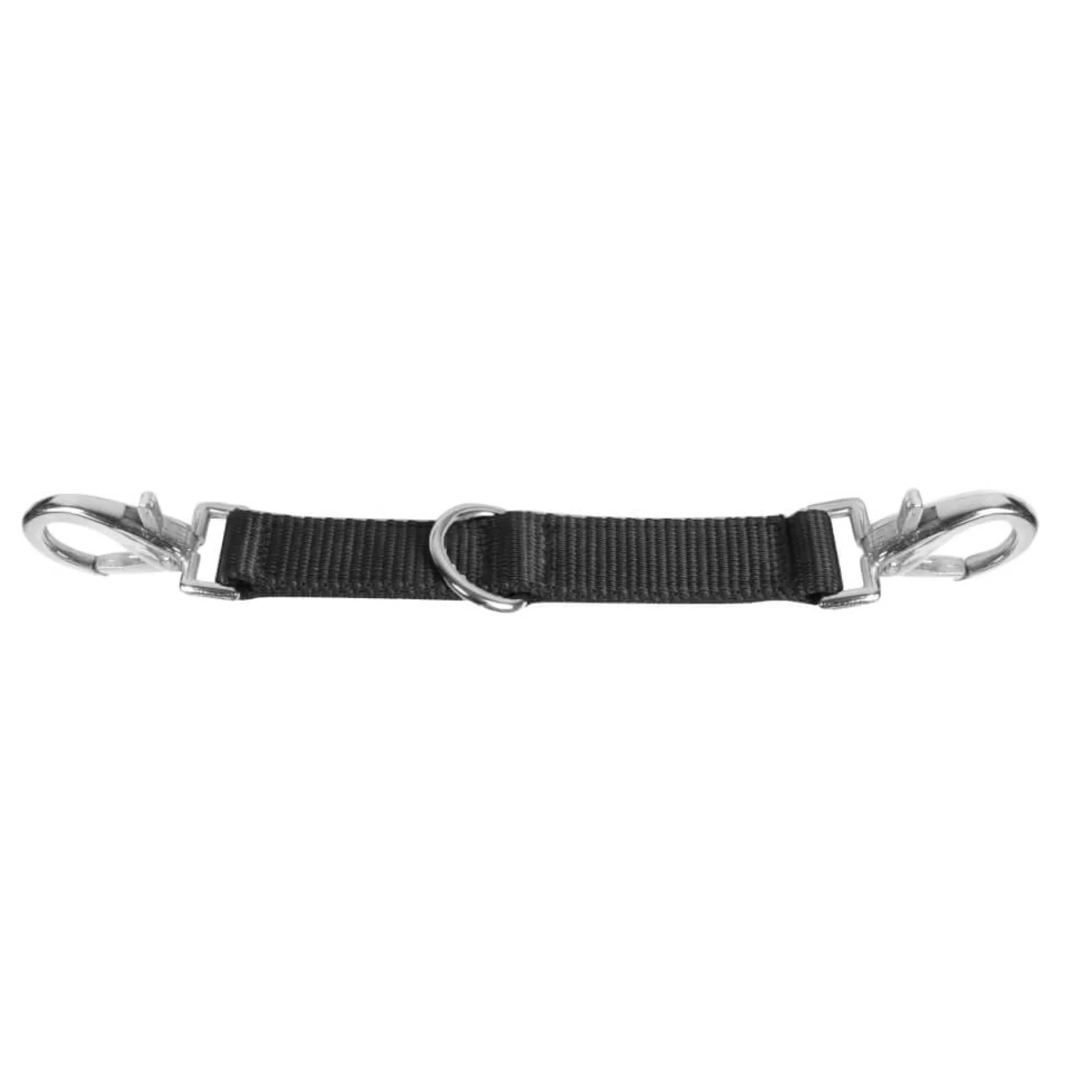 Longierbrille