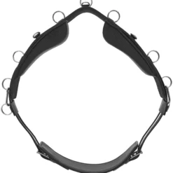 Longiergurt Flexifit SECU Pro®, mit Kopfeisen