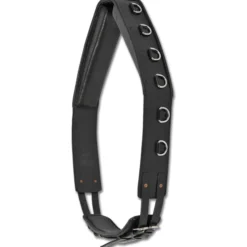 Longiergurt Leder, mit Ringen