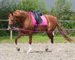 Longierstrick, Longierhilfe