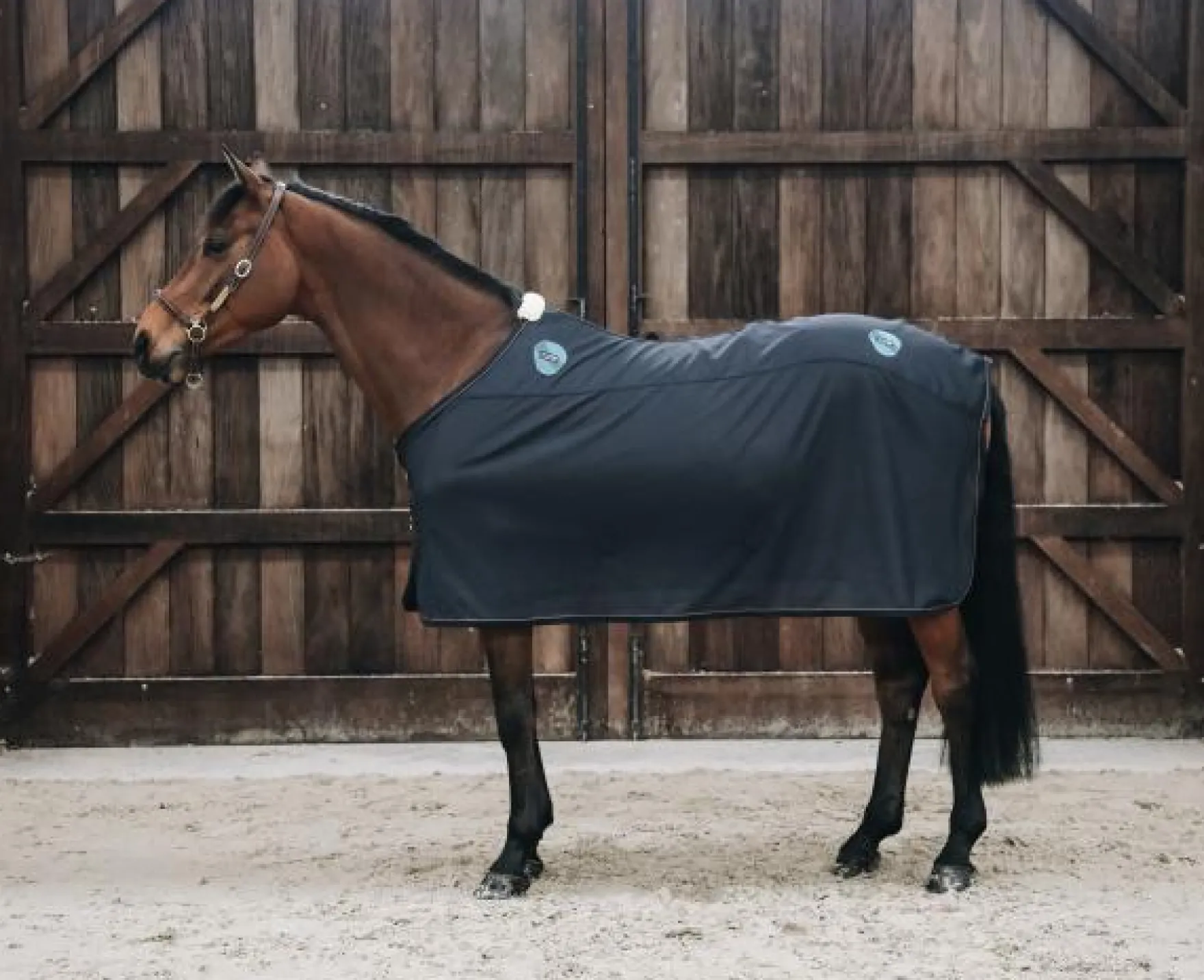 Magnetfelddecke Magnetic Rug Recuptex, Therapiedecke