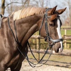Martingal Basic Pro