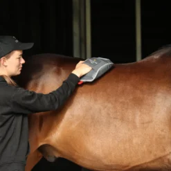 Massagehandschuh Hotspot