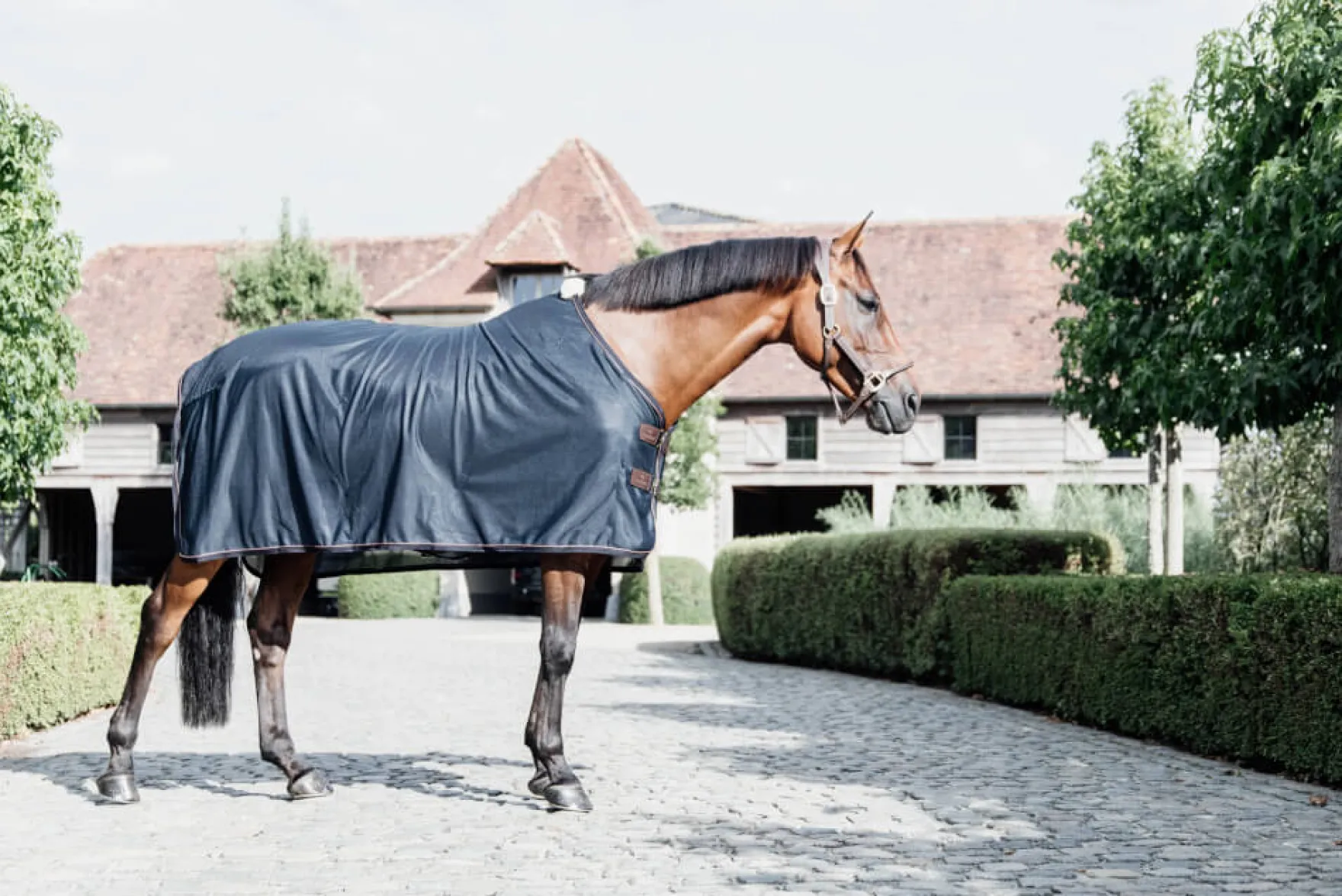 Mesh Fly Sheet, Fliegendecke