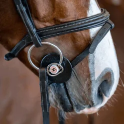 Nathe Gebiss, Stangengebiss mit zusätzlichem kleinem Ring