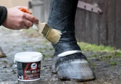 Oberflächenschutz Anti-Bite Gel