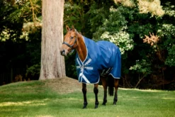 Outdoordecke Amigo Bravo 12 Wug Turnout Medium, 250 g, High Neck