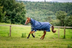 Outdoordecke Amigo 1200D Plus Pony Turnout, 50 g, mit abnehmbarem Halsteil