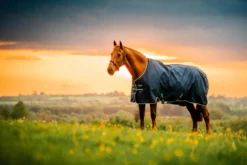 Outdoordecke Amigo Ripstop 900D Fleece Lined Turnout FS26, 50 g, mit Fleece