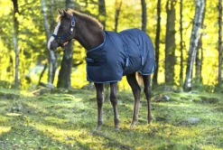 Outdoordecke Amigo Ripstop Foal Turnout Medium, 200 g, Fohlendecke
