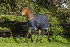 Outdoordecke Amigo Ripstop Foal Turnout Medium, 200 g, Fohlendecke