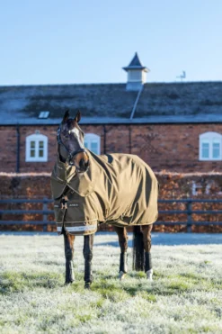 Outdoordecke Arika 600D Ripstop Turnout Rug, 100 g, Weidedecke