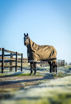 Outdoordecke Arika 600D Ripstop Turnout Rug, 100 g, Weidedecke