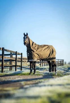 Outdoordecke Arika 600D Ripstop Turnout Rug, 0 g, Regendecke, abnehmbares Halsteil