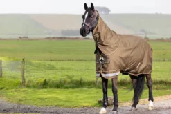 Outdoordecke Arika 600D Ripstop Turnout Rug, 0 g, Regendecke, abnehmbares Halsteil